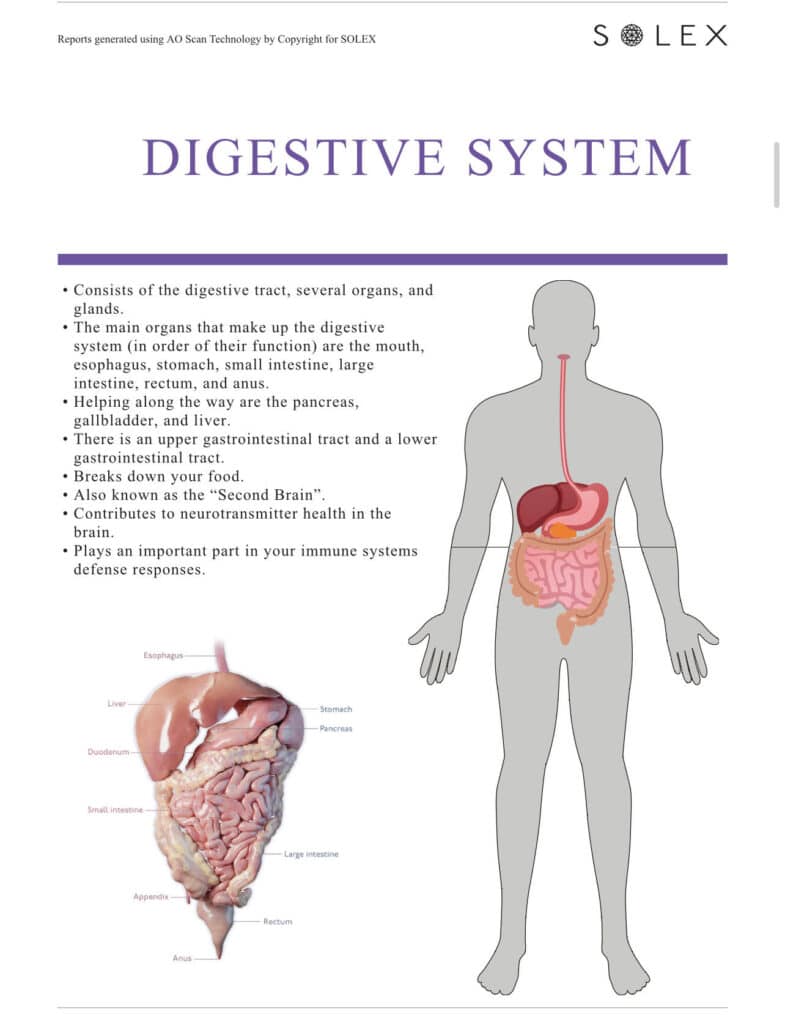 Discover the Cutting-Edge AO Scan Body System - AO Scan Global
