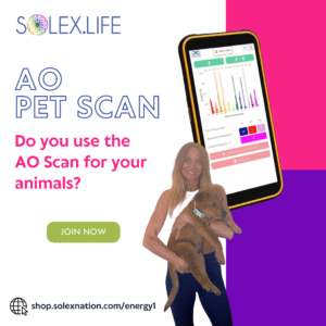 AO Pet Scan