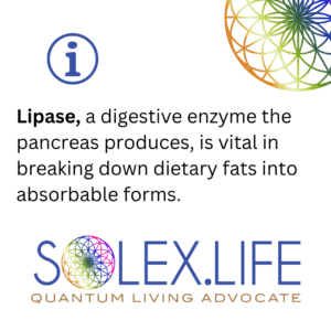 Lipase: AO Scan