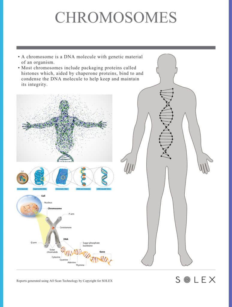 What Does the AO Scan Say About DNA? - AO Scan Global