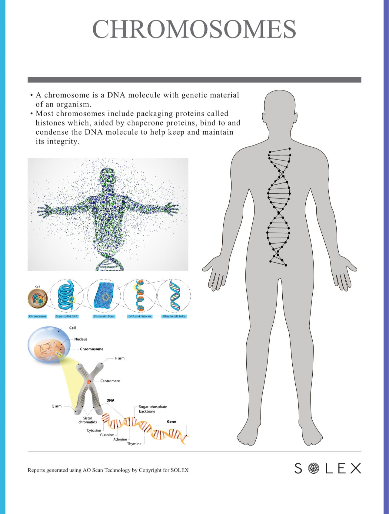 What Does the AO Scan Say About DNA? - AO Scan Global