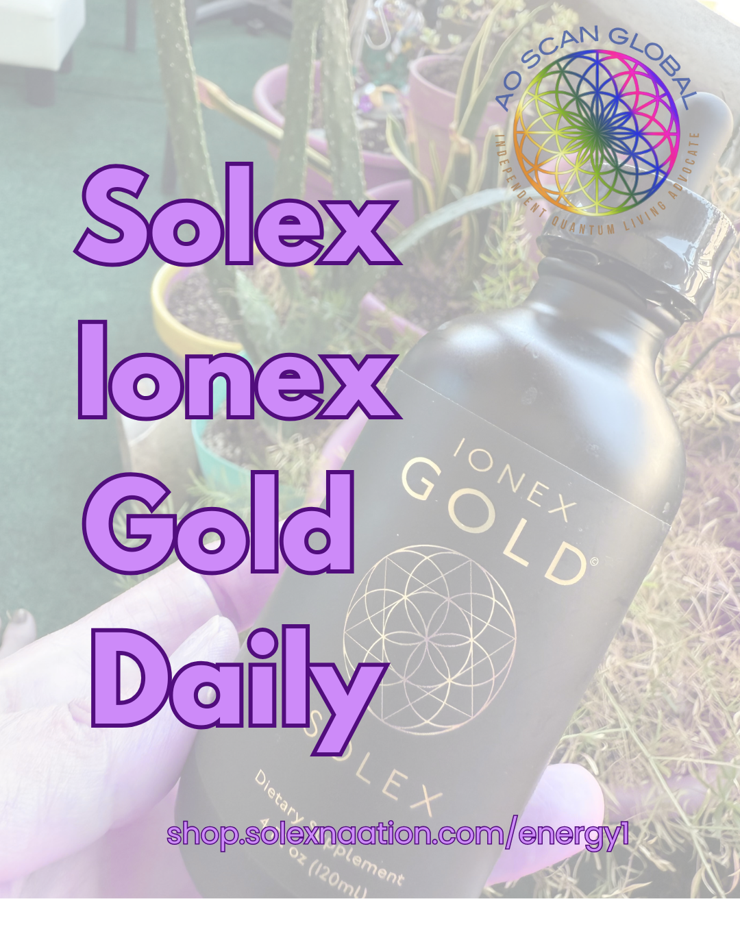 AO Scan Solex Ionex Gold - AO Scan Global AO Scan Solex Ionex Gold