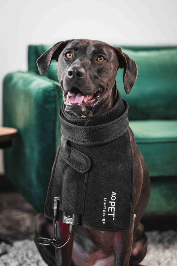 AO Light Pet Relief pad — red‑light therapy for pets with adjustable straps.