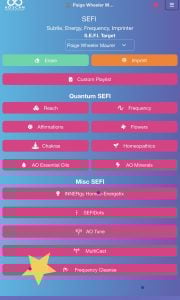 AO Scan SEFI Frequency Cleanse - AO Scan Global AO Scan SEFI Frequency Cleanse