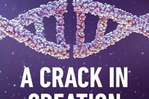 A Crack in Creatiion