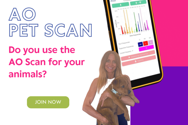 AO Pet Scan