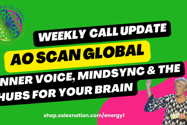 Year-end Solex weekly call replay on a laptop with AO Scan Global notes and Inner Voice, MindSync, and AO Hub highlighted