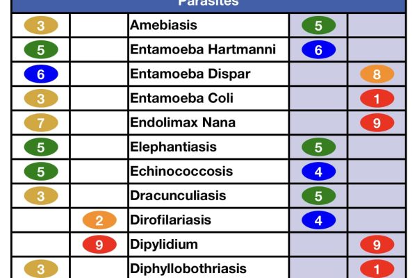 AO Scan Parasites