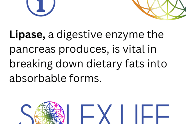 Lipase: AO Scan