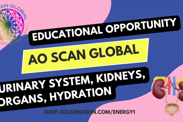 AO Scan Vital Scan kidney panel on screen with notebook and water—educational guide to creatinine, cystatin C, BUN, proteinuria, uric acid, urobilinogen