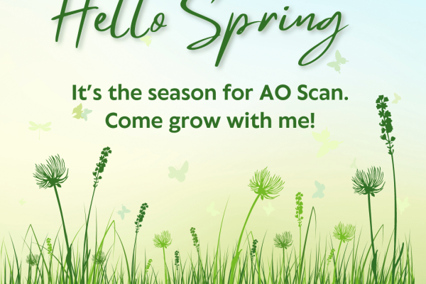 Spring AO Scan