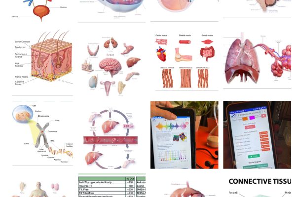 AO Scan Body Systems