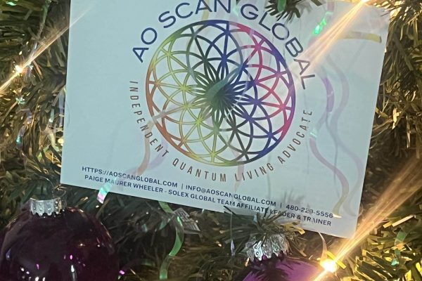 Merry Christmas from AO Scan Global