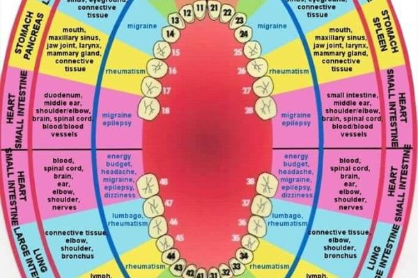 Solex Dental TMJ Scan