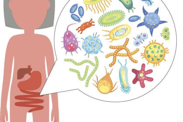 microbiome